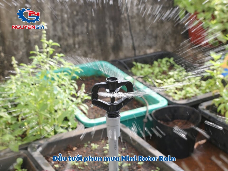 dau tuoi phun mua mini rotor rain