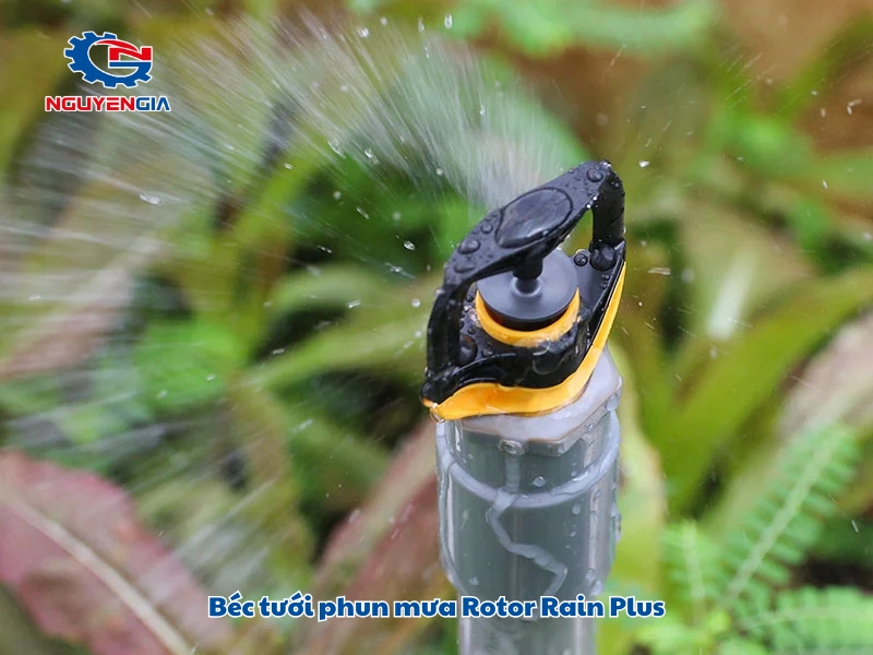 bec tuoi phun mua rotor rain plus