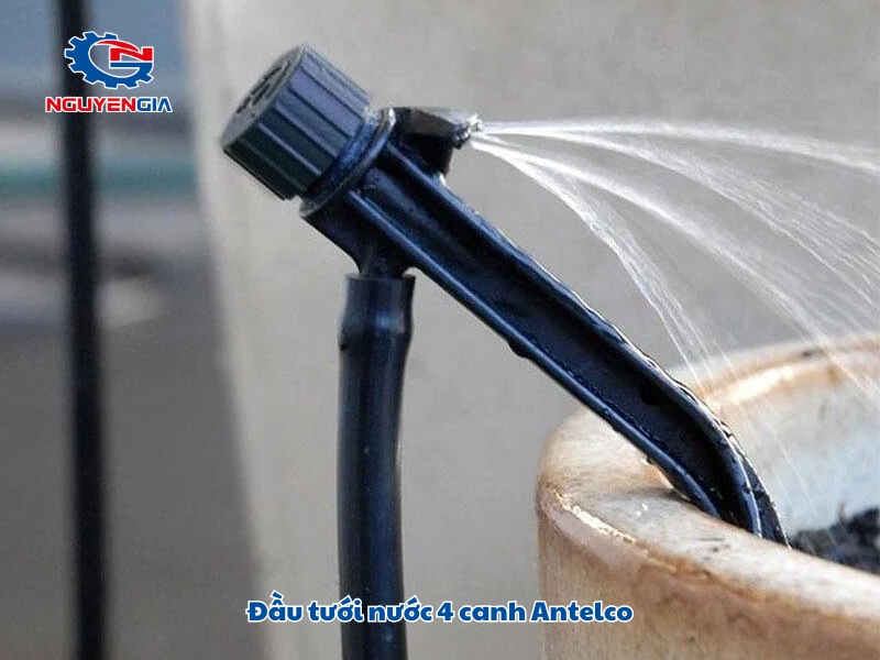 dau tuoi nuoc 4 canh antelco