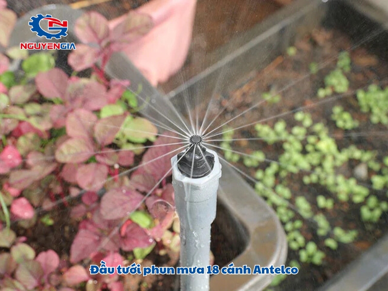 dau tuoi phun mua 18 canh antelco