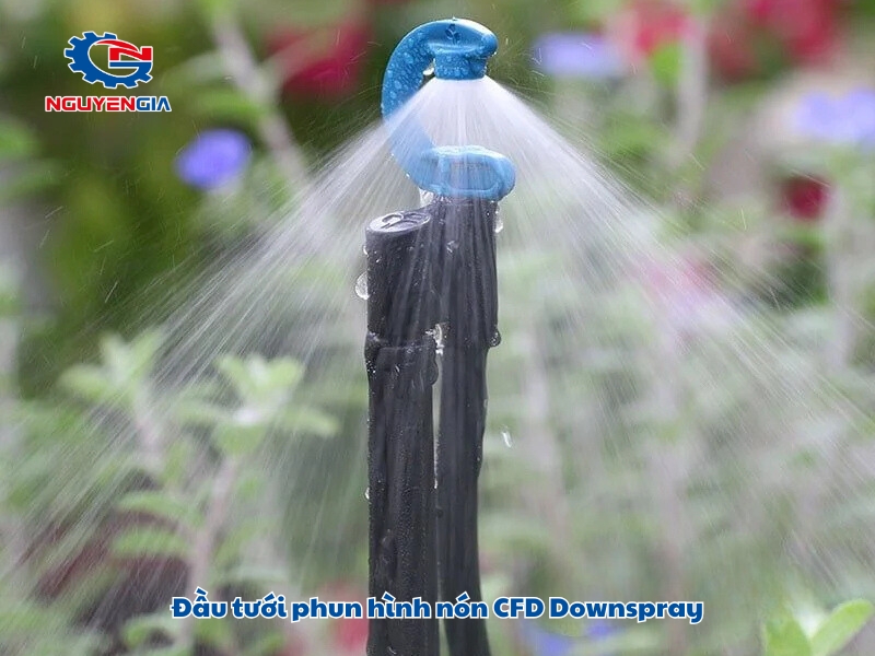 dau tuoi phun hinh non cfd downspray